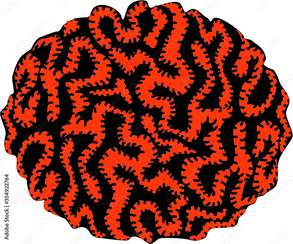 Fototapeta premium Brain Coral Illustration