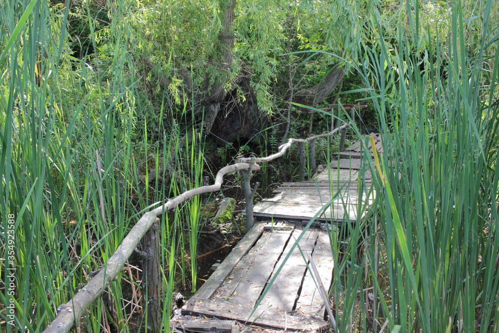 Wooden bridge for fishing on the river among the green reeds. Reflection of white clouds in the water. Summer landscape
Wooden bridge for fishing on the river among the green reeds. Reflection of white clouds in the water. Summer landscape