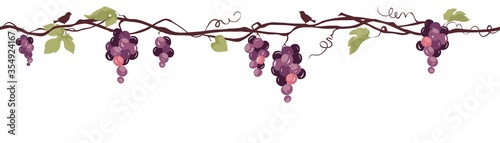 Grapevine with birds / Seamless vector illustration, narrow background, floral design element	