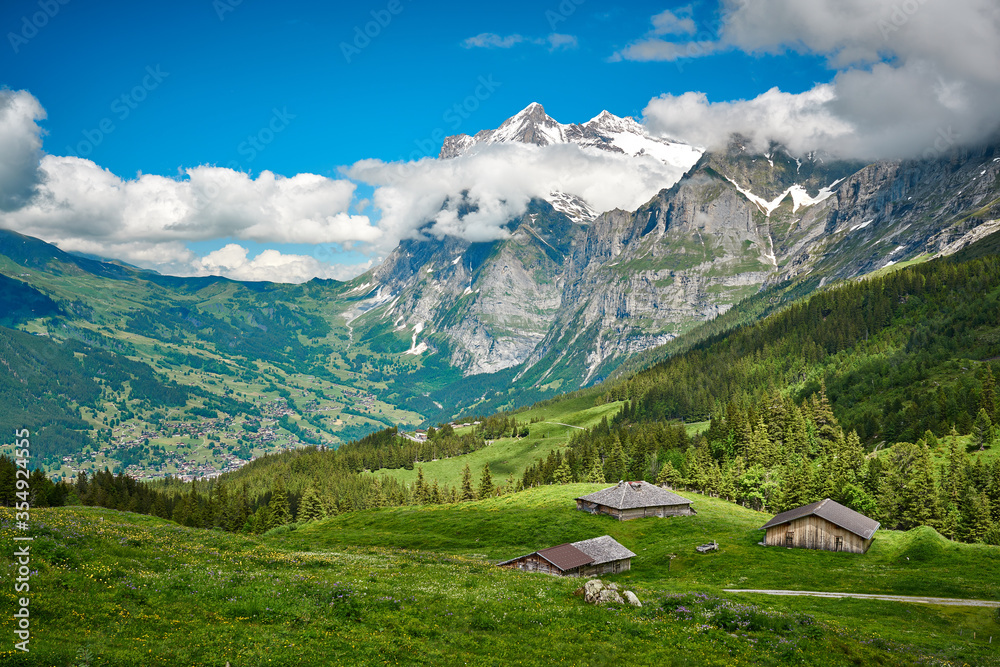 Swiss Alps landscape with meadow, snowy mountains and green nature. Taken near village in Grindelwald mountains, Mannlichen - Alpiglen Trail, Switzerland.