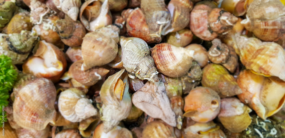 Snails on display at food market. Snails on display at food market.