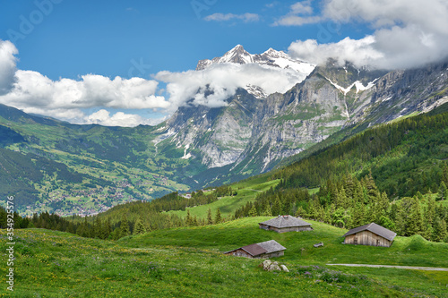 Swiss Alps landscape with meadow  snowy mountains and green nature. Taken near village in Grindelwald mountains  Mannlichen - Alpiglen Trail  Switzerland.