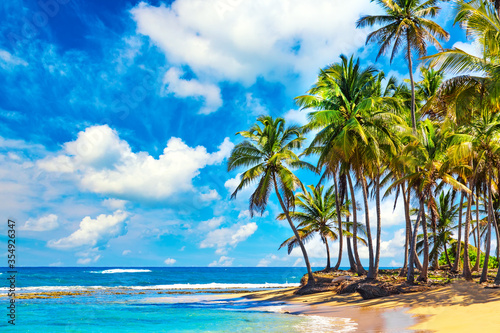 Palm trees on the wild tropical beach in Dominican Republic. Vacation travel background