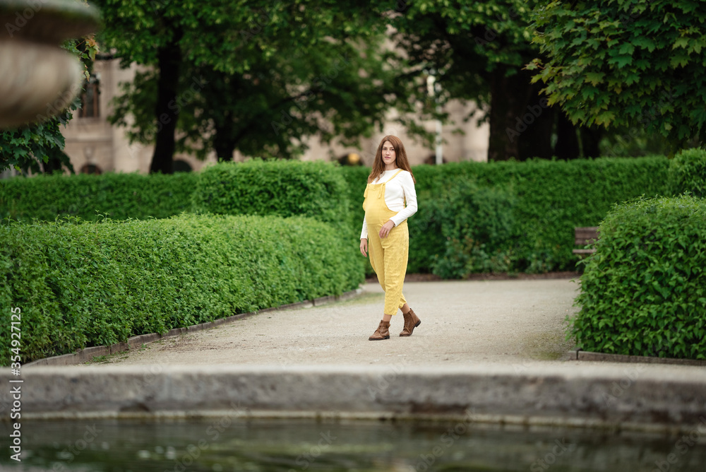 Beautiful pregnant girl walking in the Park. Beautiful pregnant girl walking in the Park.