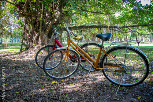 bicycles in the park