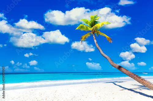 Palm tree on the caribbean tropical beach against blue cloudy sky. Saona Island, Dominican Republic. Vacation travel background © Nikolay N. Antonov