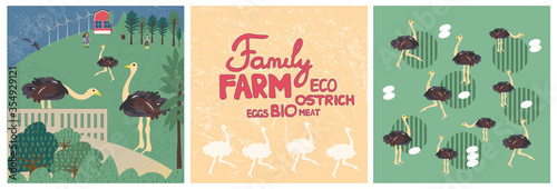 Ostrich and ostrich eggs. Set of family farm illustration and lettering. Rural landscape, farming, agricultural work. Design elements for a poster, banner or postcard. Flat vector cartoon style