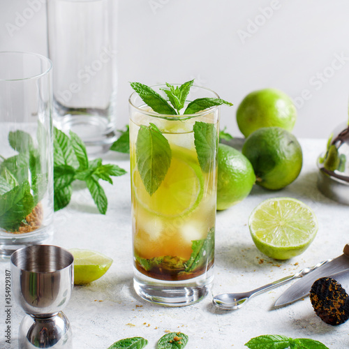 Homemade refreshing mojito cocktail in a tall glass