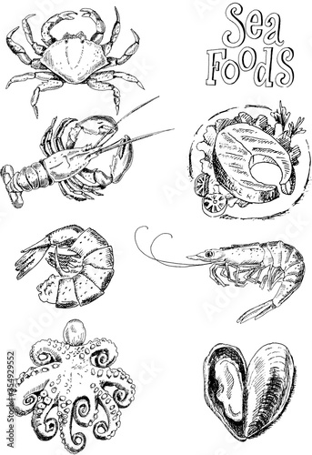 Graphic drawing of various sea food including shrimp  crab and octopus 