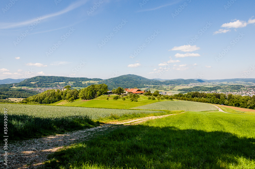 Obraz premium Dornach, Arlesheim Landwirtschaft, Burgruine Dorneck, Ruine, Birstal, Wanderweg, Errmitage, Wald, Aussichtspunkt, Baselland, Sommer, Schweiz