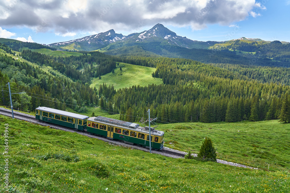 Landscape of Swiss Alps with green nature, meadow and Grindelwald - Kleine Scheidegg train, Bernese Alps, Switzerland.