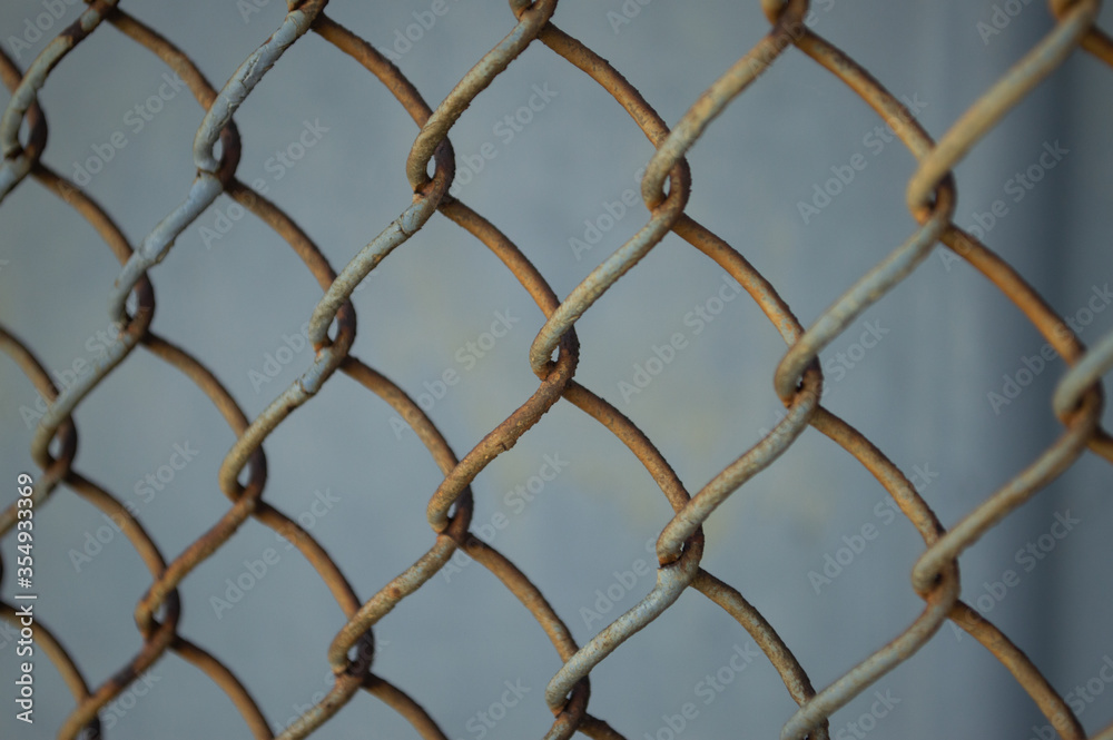 Fototapeta premium Rabitz against the background of a grey steel wall. Front view.