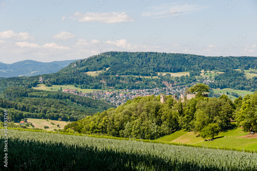 Dornach, Arlesheim Landwirtschaft, Burgruine Dorneck, Ruine, Birstal, Wanderweg, Errmitage, Wald, Aussichtspunkt, Baselland, Sommer, Schweiz
