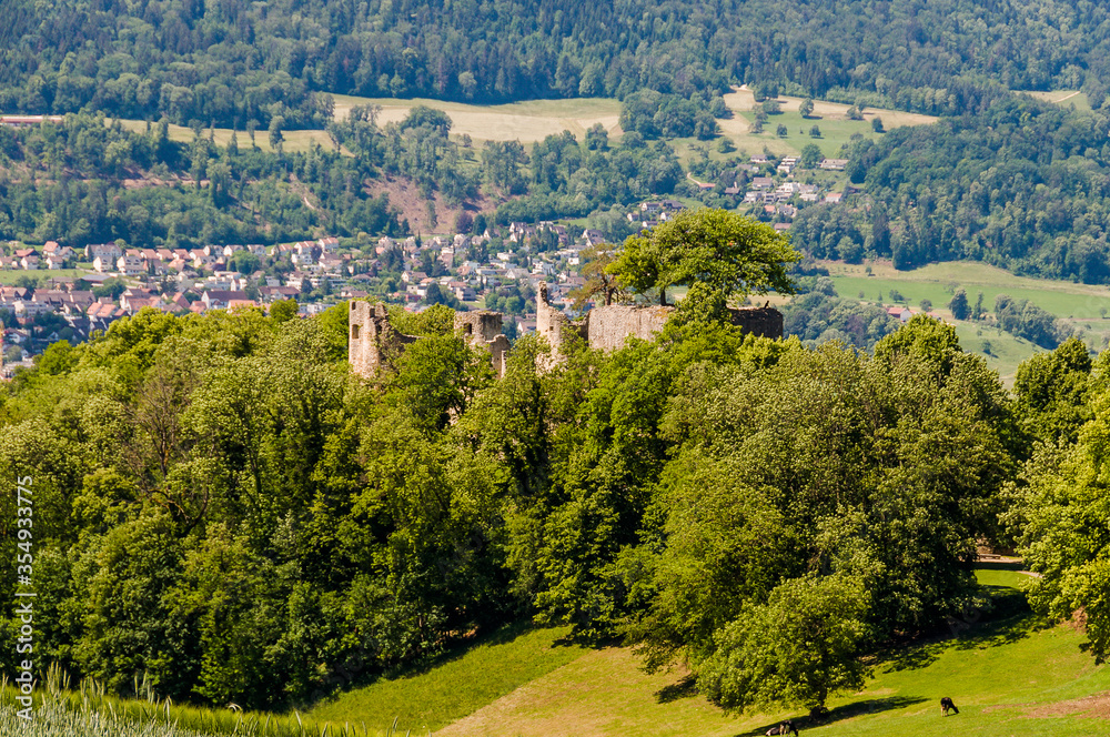 Obraz premium Dornach, Arlesheim, Landwirtschaft, Burgruine Dorneck, Ruine, Birstal, Pfeffingen, Wanderweg, Errmitage, Wald, Aussichtspunkt, Baselland, Sommer, Schweiz