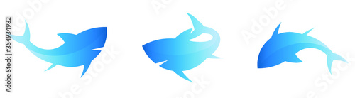 blue shark