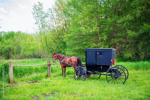 Amish Horse and Buggy hitched at rail in lowlands