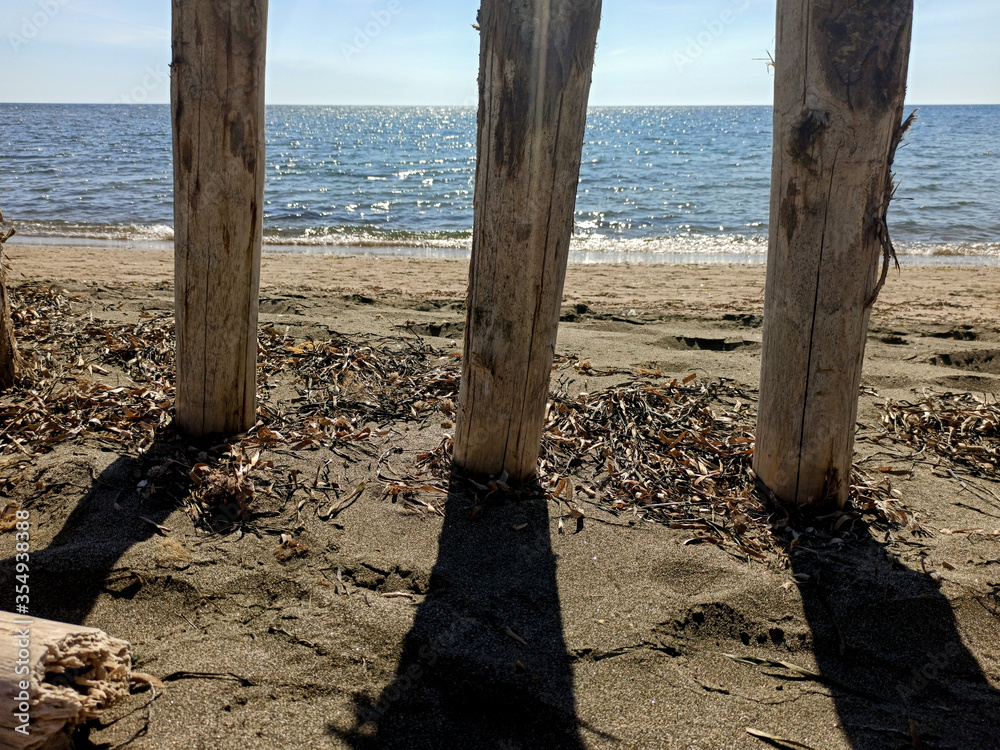 wooden poles on the beach by the sea wooden poles on the beach by the sea