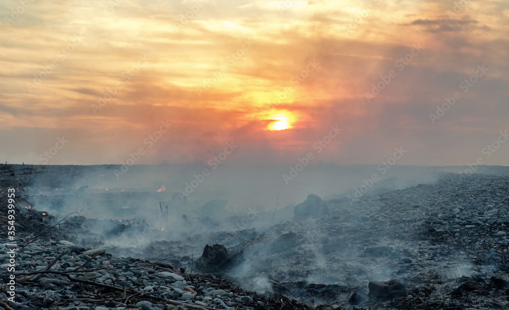 Coast with smoke after wildfire. Burnt wood at sunset