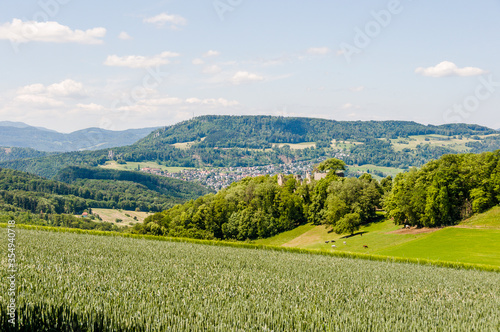 Dornach, Arlesheim Landwirtschaft, Burgruine Dorneck, Ruine, Birstal, Wanderweg, Errmitage, Wald, Aussichtspunkt, Baselland, Sommer, Schweiz photo