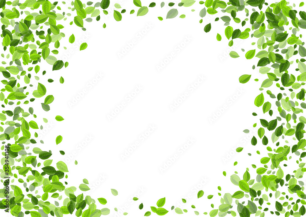Swamp Foliage Falling Vector Design. Tree Leaf Swamp Foliage Falling Vector Design. Tree Leaf