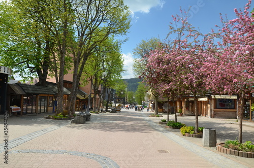 Obraz na płótnie Zakopane w czasie pandemi , covid -19 Zakopane , Krupówki w czasie pandemi , COVID 19 , Koronawirus Zakopane w salonie
