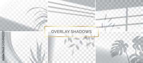 Set of shadows, overlay effects mock up, window frame and leaf of plants, natural light, vector illustration.