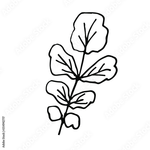 Single hand-drawn leaves for decorating cards  presentations  invitations. Doodle vector illustration. Isolated on white background