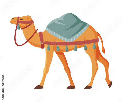 Fotografia Camel with Saddle, Two Humped Ddesert Animal, Symbol of Egypt Flat Style Vector