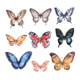 Set collection with butterflies. Hand-drawn watercolor illustration. Elements separately on a white background. Black, red, blue, orange. Print, textile, paper, fabric. Vintage, sketch, retro, realism