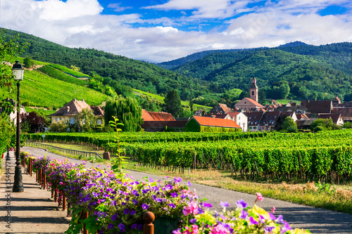 Beautiful countryside of Alsace region- famous 