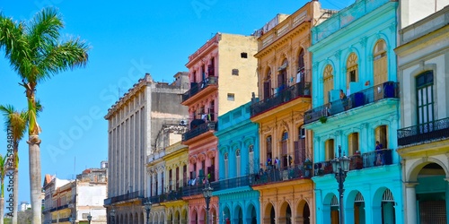 Colorful colonial houses in Havana, Cuba, palm trees, blue sky background, a sunny day photo