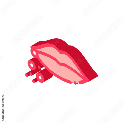 dermatitis near lips icon vector. isometric dermatitis near lips sign. color isolated symbol illustration
