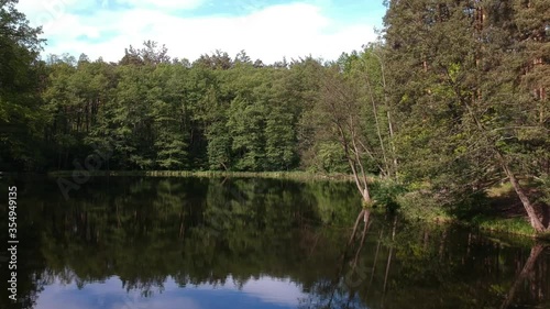 Forest lake in summer surrounded by coniferous green trees, a place to relax. Aerial photography.
