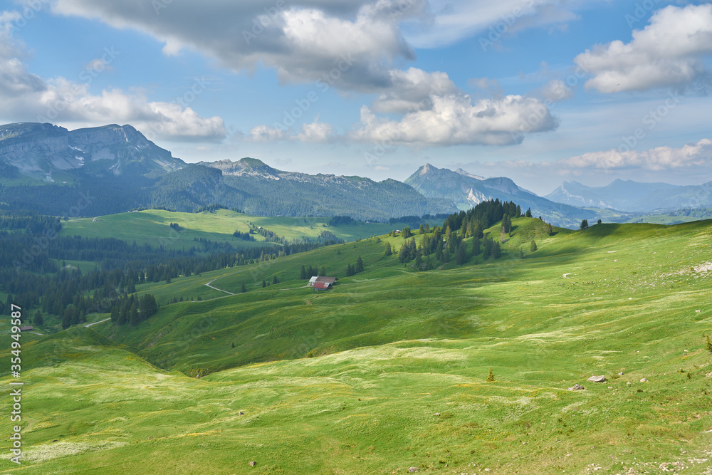 Landscape with Swiss Alps mountains and green nature. Photo taken at Hardergrat ridge trail / hike, near Interlaken, Switzerland. 