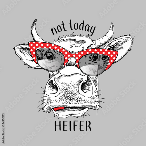 Cute cow in a red polka dot glasses. Not today heifer - lettering quote. Humor card, t-shirt composition, hand drawn style print. Vector illustration.