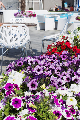 Wallpaper Mural View summer urban elite cafes in recreation area on beach, decorated with richly blooming flowers. Selective focus and space in zone blurring compositions for production of advertising  Torontodigital.ca