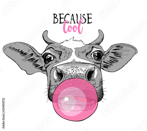 Portrait of a Funny Cow with a pink bubble gum. Because cool - lettering quote. Humor card, t-shirt composition, hand drawn style print. Vector illustration.
