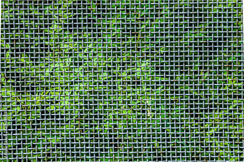The metal grill net laying on the forest grass, beautiful texture or background