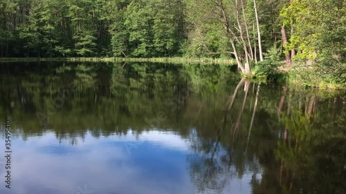 Forest lake in summer surrounded by coniferous green trees, a place to relax.  Aerial photography.