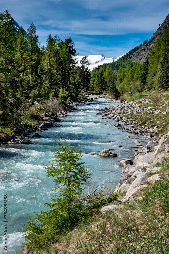Wildbach im naturbelassenen Val Roseg, Engadin