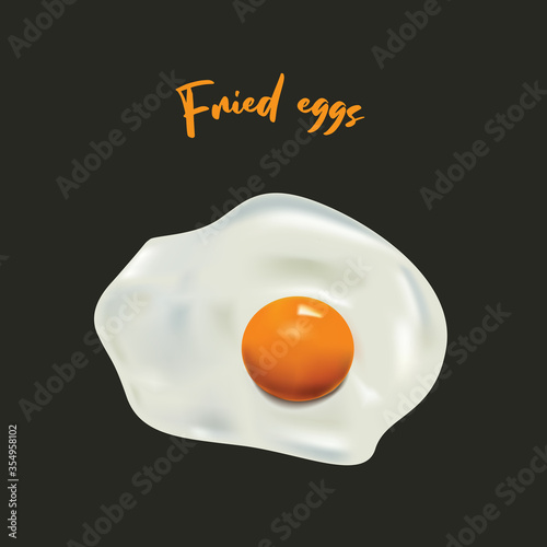 isolated realistic vector fried egg