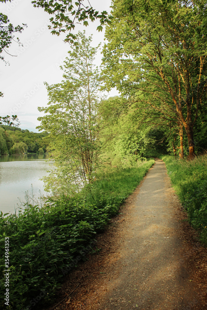 Fototapeta premium Camino junto al lago
