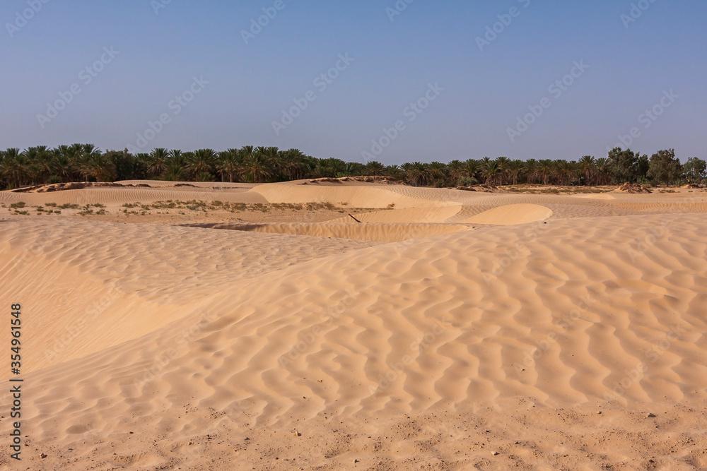 Naklejka premium Sand dunes in the desert in Tunisia.