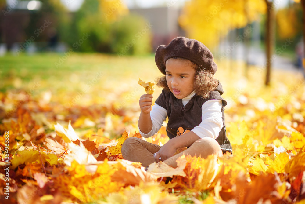 adorable little girl with autumn leaves in the beauty park. adorable little girl with autumn leaves in the beauty park.