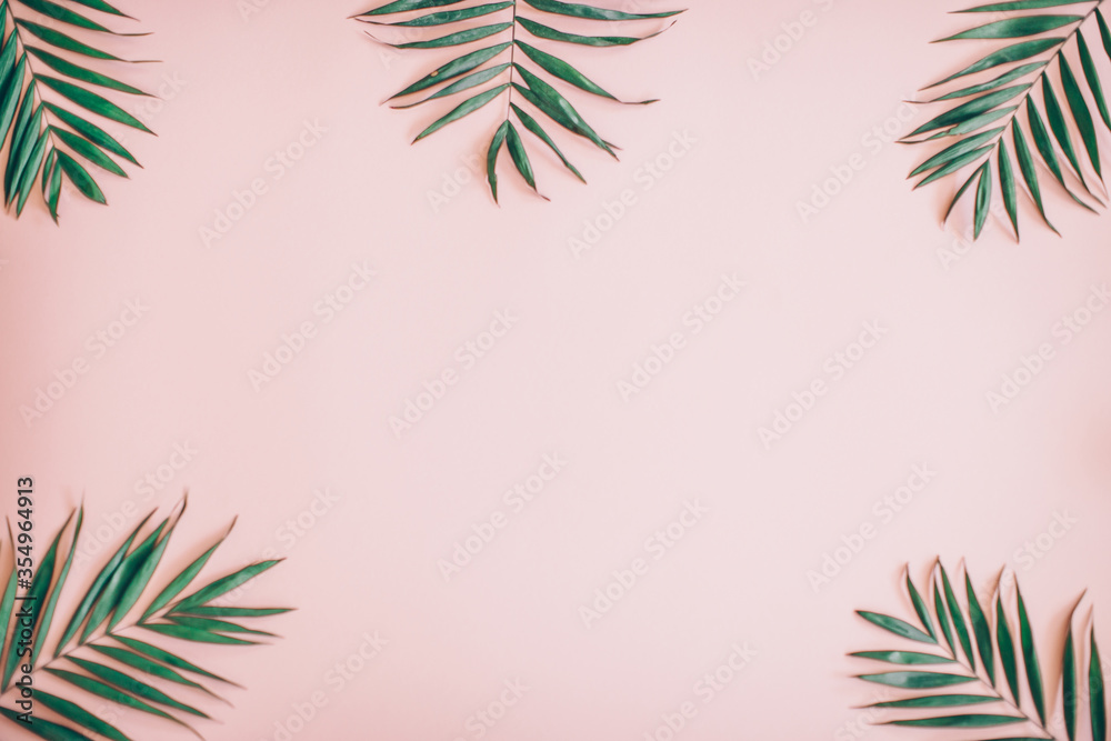 Fototapeta premium palm leaves background