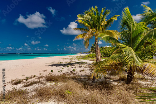 palm trees on the white beach in the Caribbean, Anguilla island of the Antilles