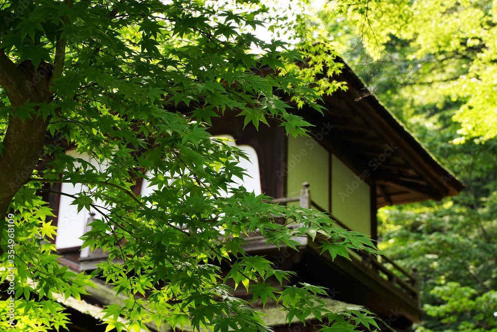 Japanese style old wooden house with garden. Kanagawa, Japan. Japanese style old wooden house with garden. Kanagawa, Japan.