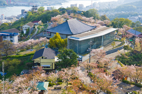 Sakura full bloom at Mt. Senkoji in Onomichi town, Hiroshima, Japan photo