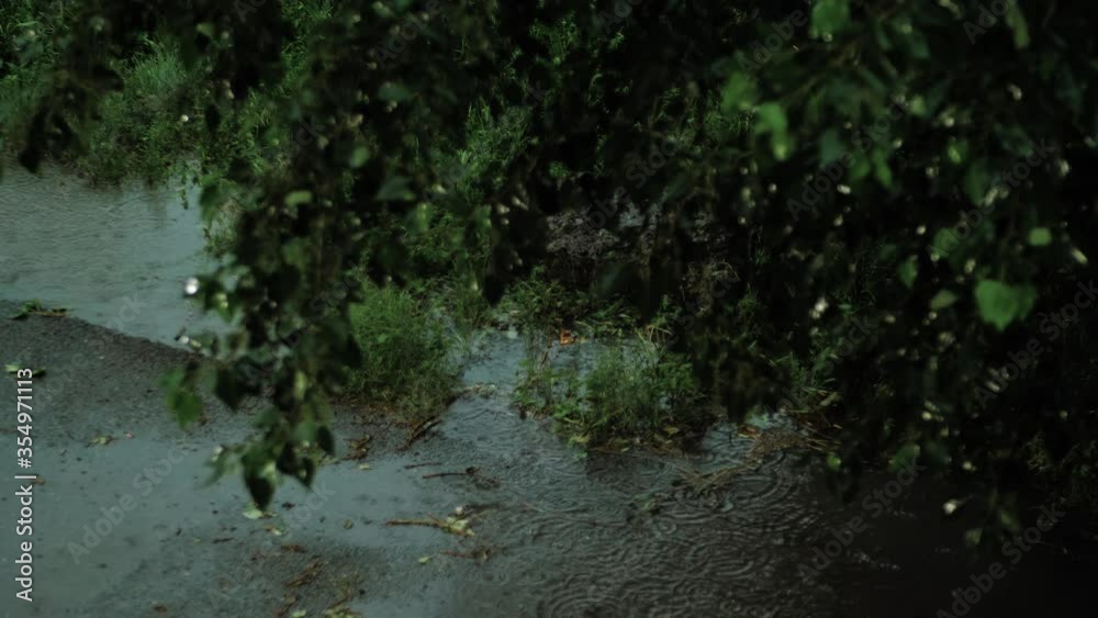 Night rain. Beautiful evening rain and light on background of blurred hanging tree branches and green leaves Night rain. Beautiful evening rain and light on background of blurred hanging tree branches and green leaves