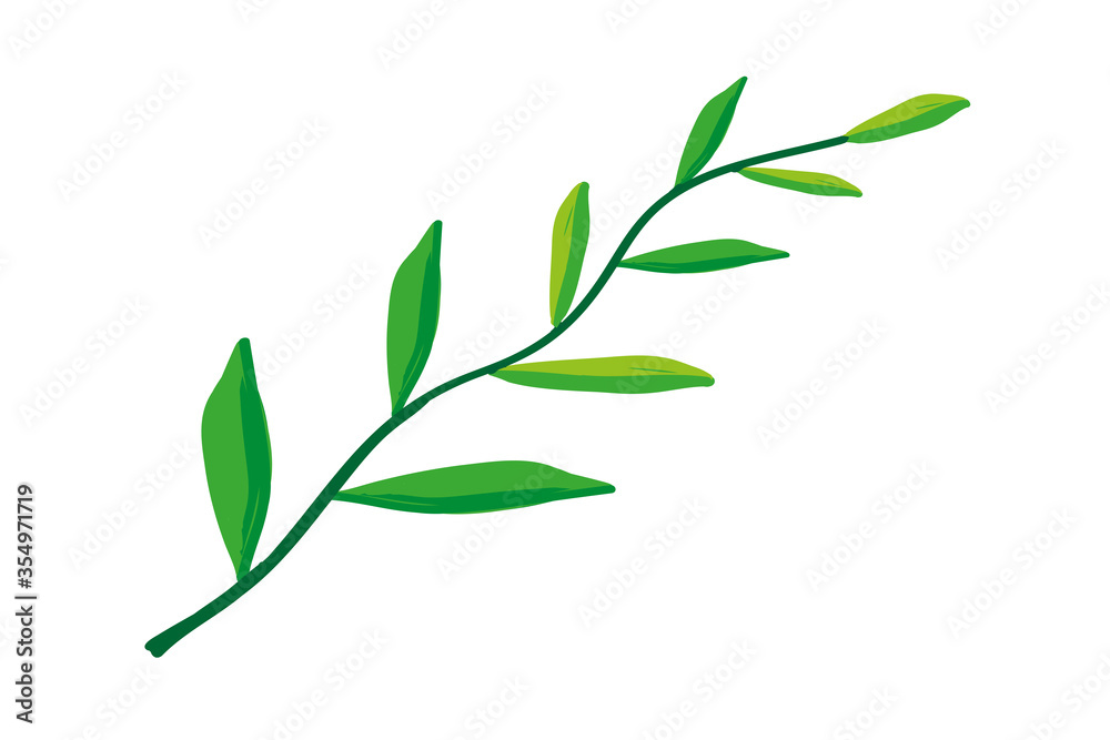 Obraz premium Green leaves on white background. 